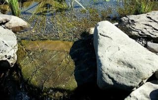 Wetland Filter waterfall