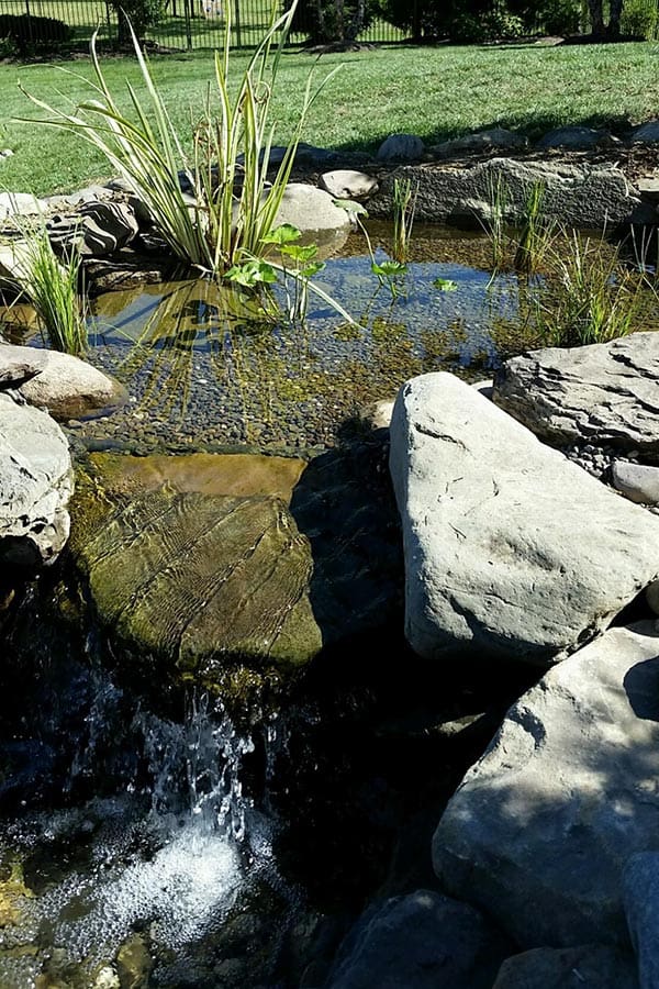 Wetland Filter waterfall