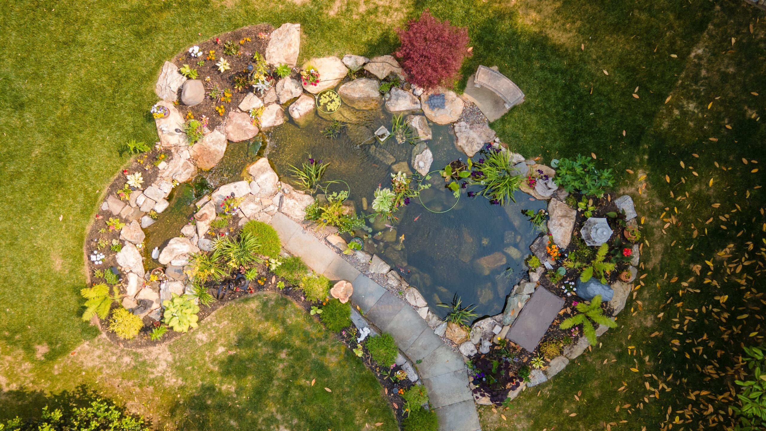 Aerial view of backyard garden pond with landscaping.