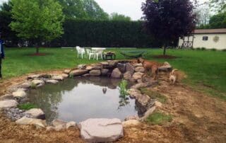 Philly koi pond after