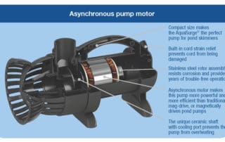 AquaSurge Pond Pump cutaway