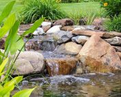 Pond renovation in Bucks County