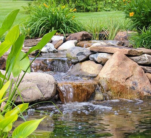 Pond renovation in Bucks County