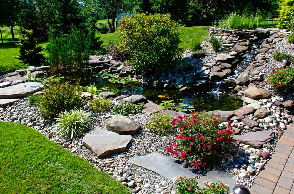 Seasonal Pond Care Tips