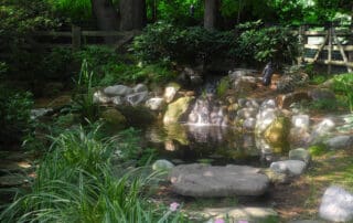 Ecosystem pond
