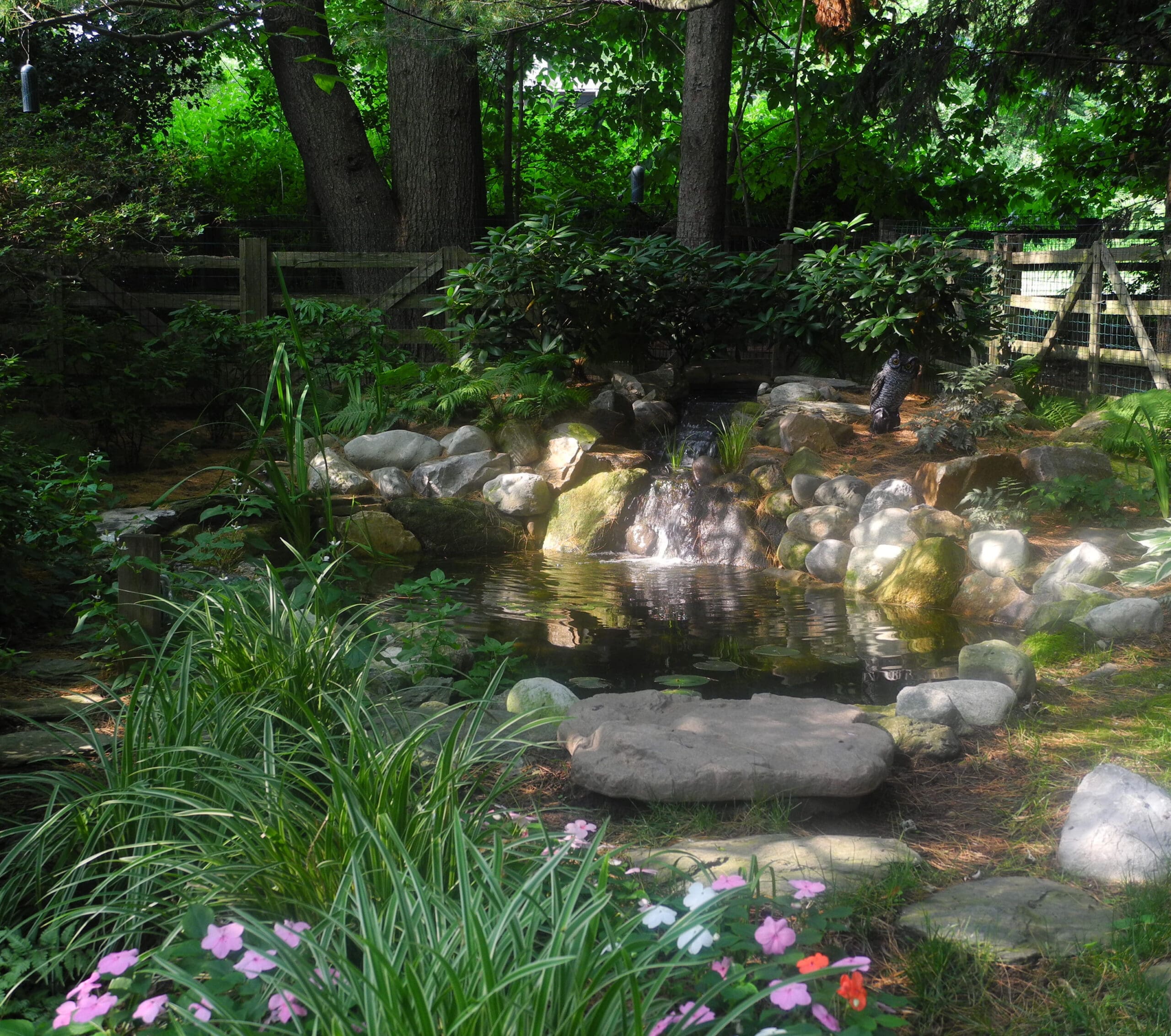 Ecosystem pond