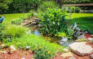 Colorful backyard garden pond with lush plants.