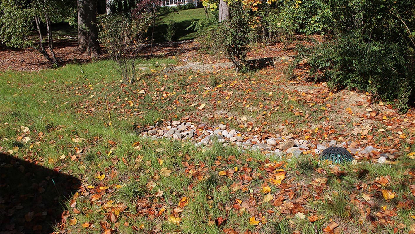 Autumn leaves scattered on a backyard lawn.