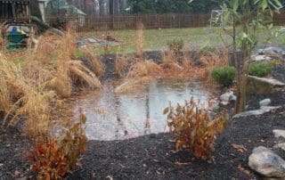 Rainwater management pond in Philidelphia