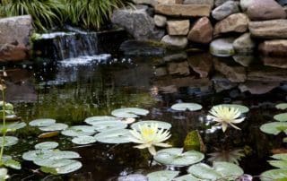 Custom Pond with Waterfall