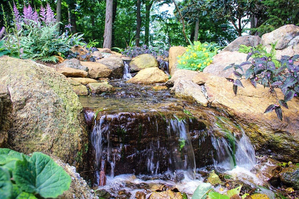 verhake_pondless_8_36498746566_o.jpg