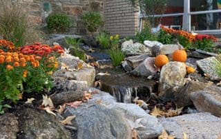 Fall Season Pond Waterfall