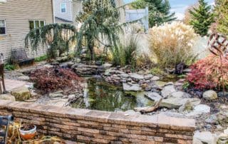 The Top Pond Builders in the Philadelphia area