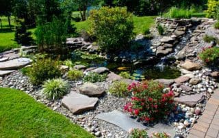Summer Pond Care