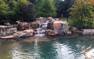 Philadelphia Swim Pond