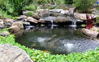 Philadelphia Koi Pond