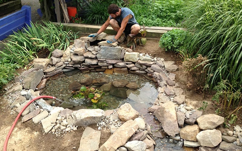 Philadelphia Exploratory Pond Cleaning