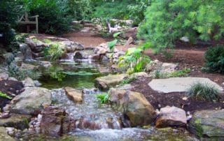 best pond contractor