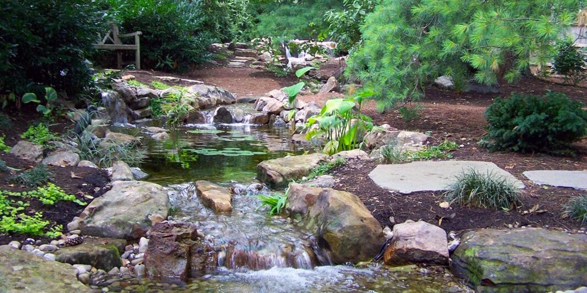 best pond contractor