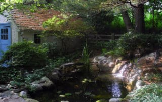 Tips for a Health Pond