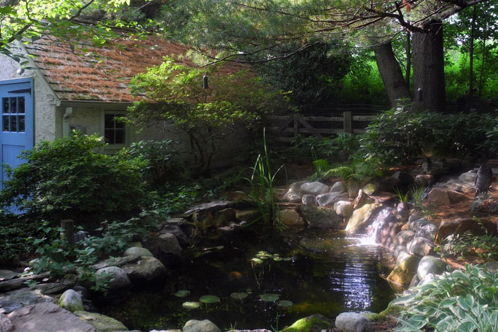 Tips for a Health Pond