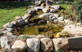 Backyard pond with waterfall and stream in Fall