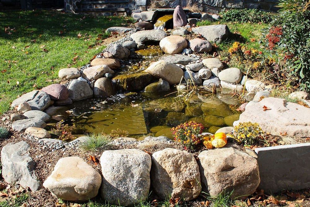 Backyard pond with waterfall and stream in Fall