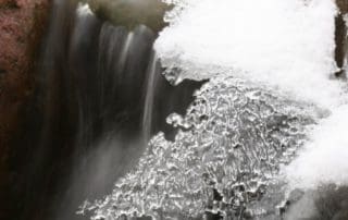 Fishpond in Philadelphia winter