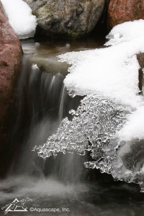 Fishpond in Philadelphia winter