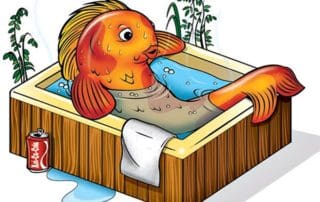 Hot pond makes for sick koi