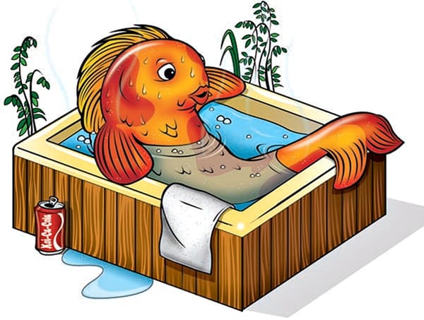 Hot pond makes for sick koi