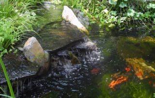 Koi pond with waterfall