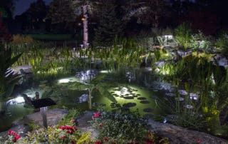 Koi pond with underwater LED lights