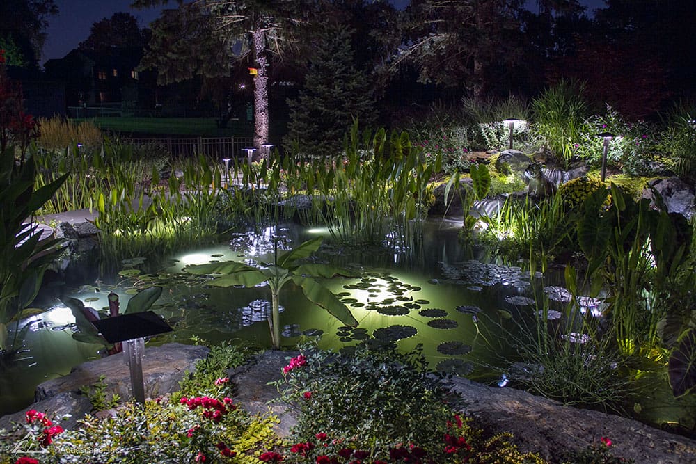 Koi pond with underwater LED lights