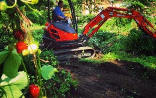 Pond renovation, digging out pond
