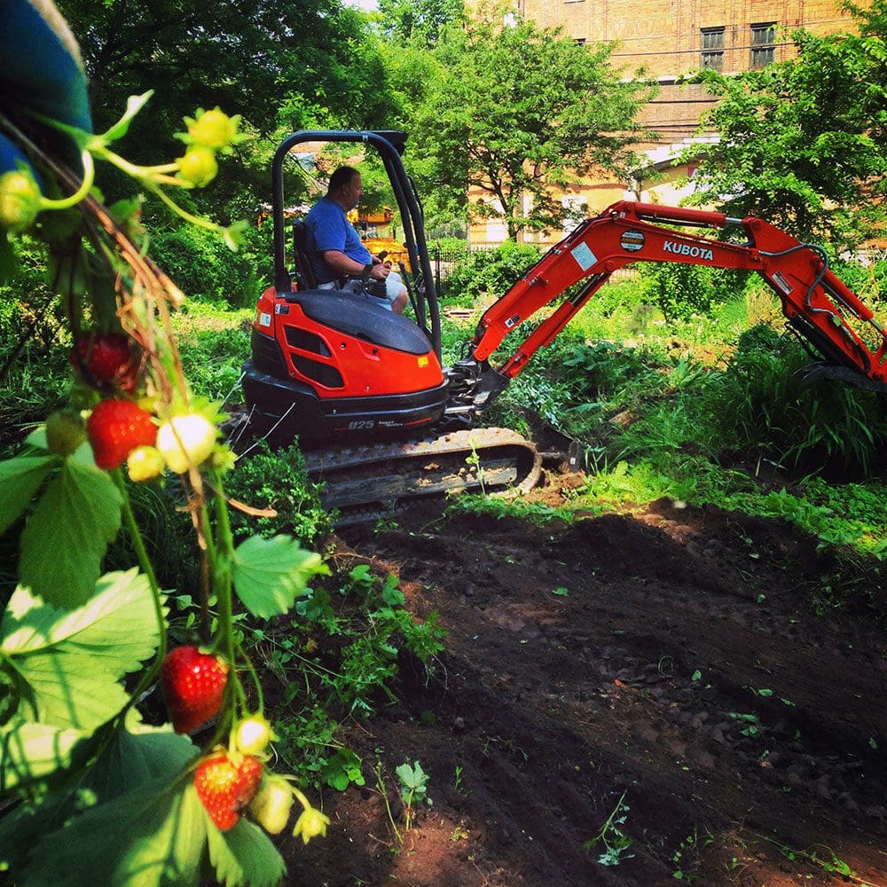 Pond renovation, digging out pond