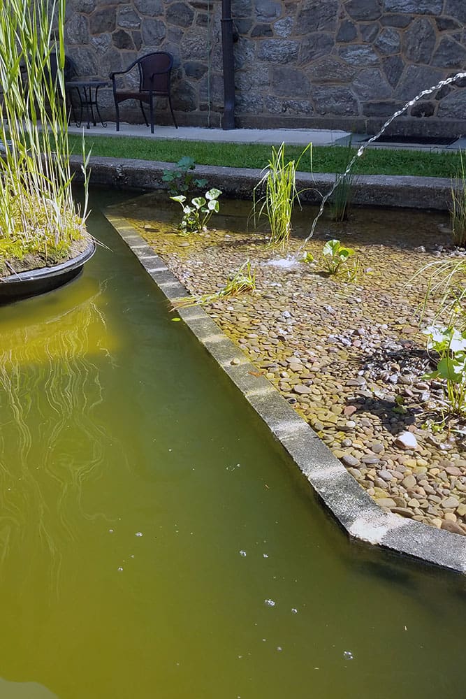 Philadelphia Wetland Filter Installation