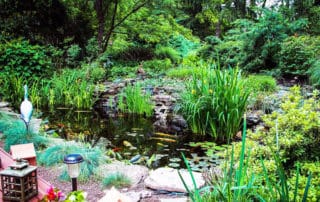 Well maintained pond