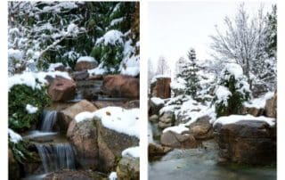 Winter Pond Tips
