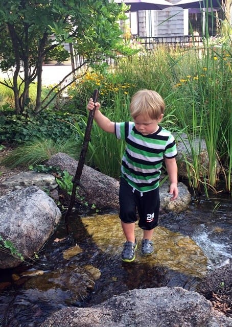 Little pond explorer