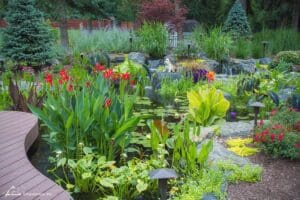 Aquatic flowers in pond