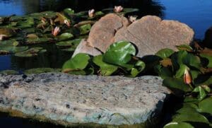 Rocks for ponds