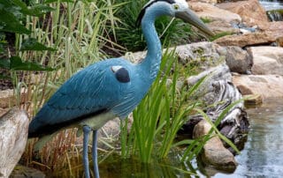 Blue Heron Decoy