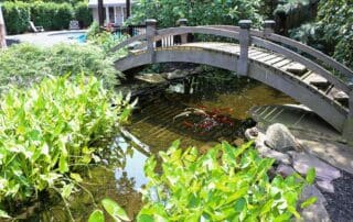 Wooden bridge over koi pond with lush greenery.