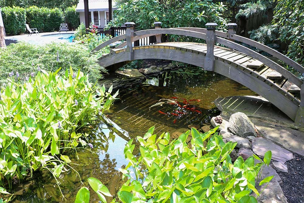 Wooden bridge over koi pond with lush greenery.
