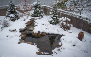 Winter garden pond with fresh snow cover.