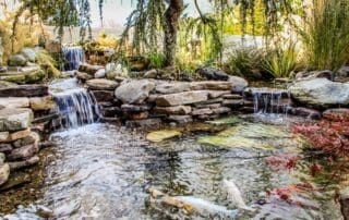 Tranquil backyard garden pond with small waterfalls.