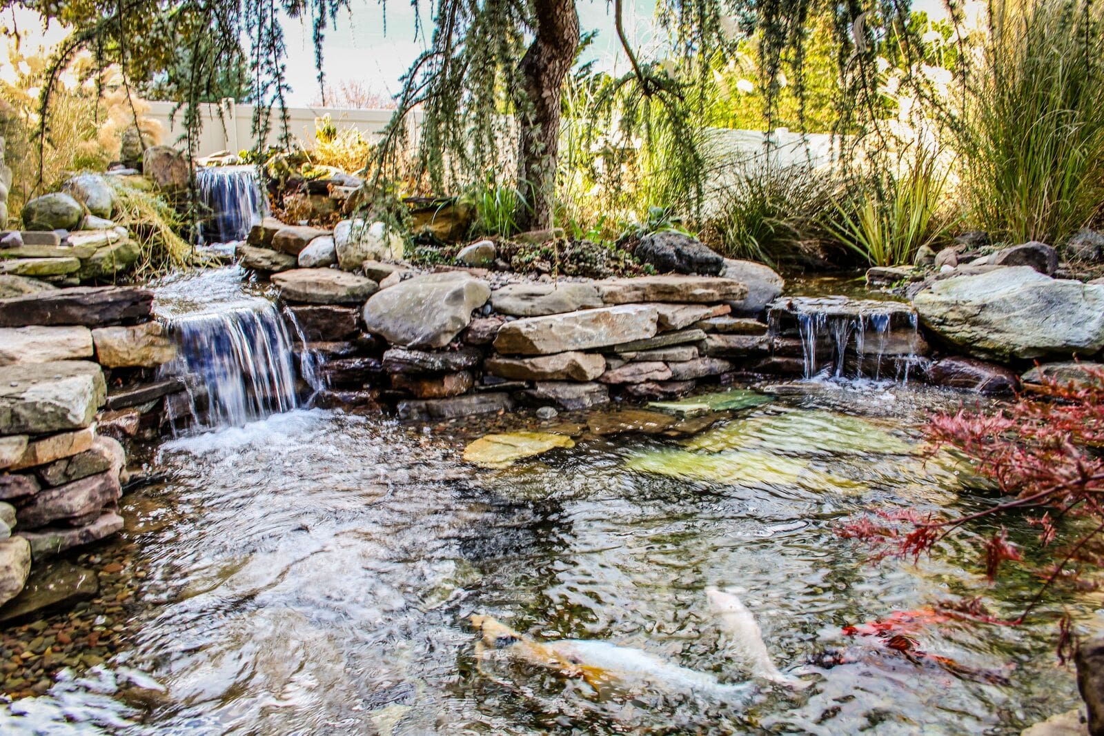 Tranquil backyard garden pond with small waterfalls.