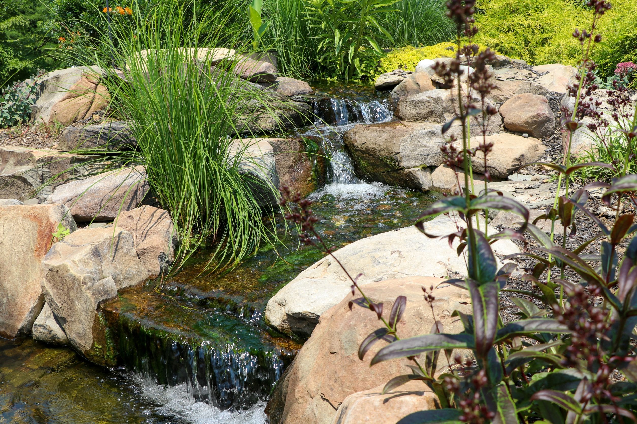 Tranquil garden stream with lush plants and rocks.