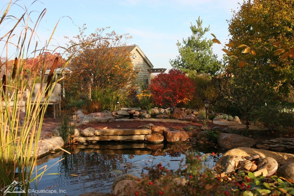 Tranquil backyard pond with autumn foliage and rocks.